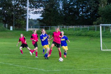 Bild 220 - B-Juniorinnen TSV Gnutz o.W. - SV Wahlstedt : Ergebnis: 1:1